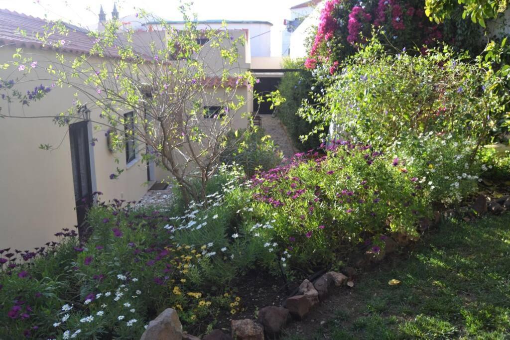 Garden In The City シルヴェス エクステリア 写真